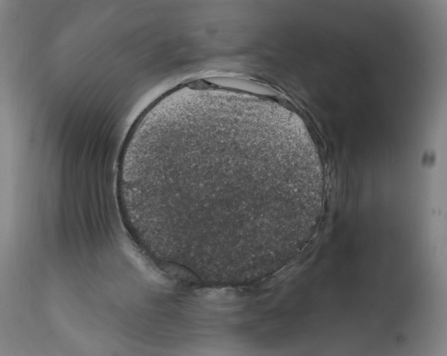 X0000112380100200909241224