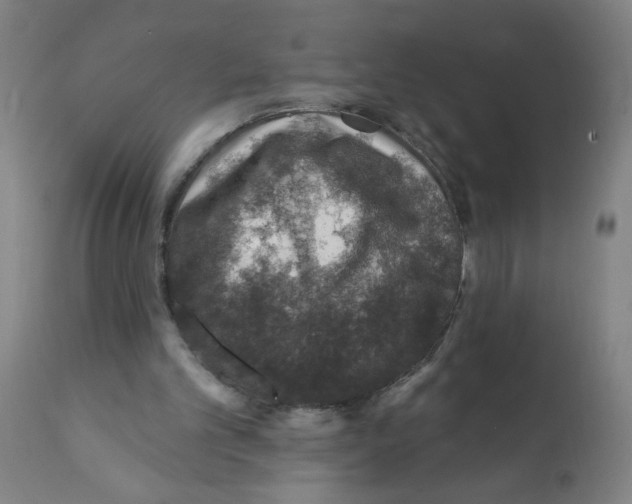 X0000112380101200909241224