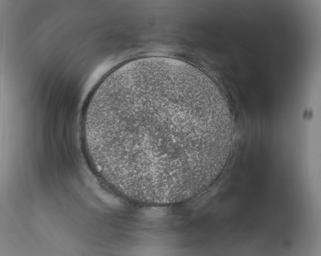 X0000112380102200909241224