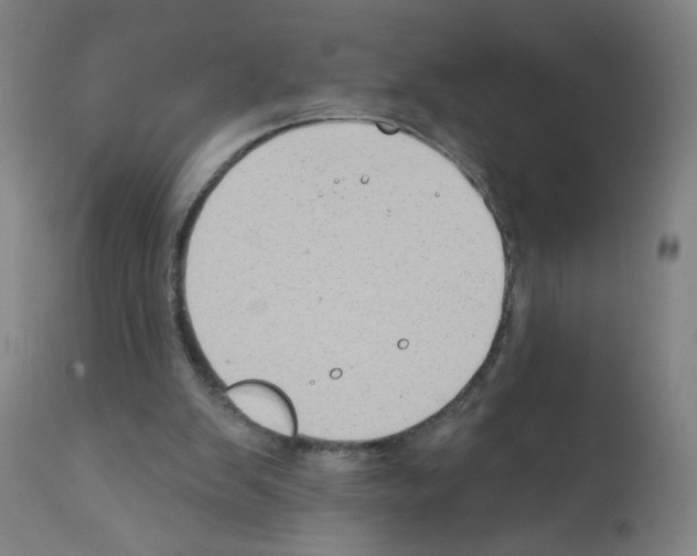 X0000112380103200909241224