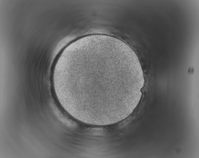 X0000112380104200909241224