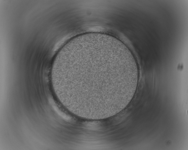 X0000112380106200909241224