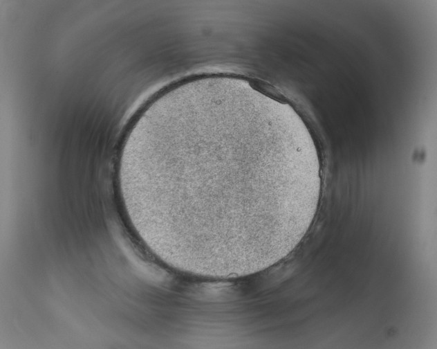 X0000112380108200909241224