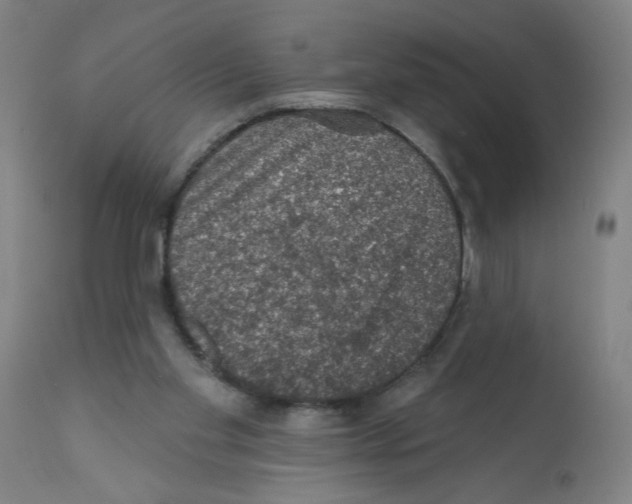 X0000112380109200909241224