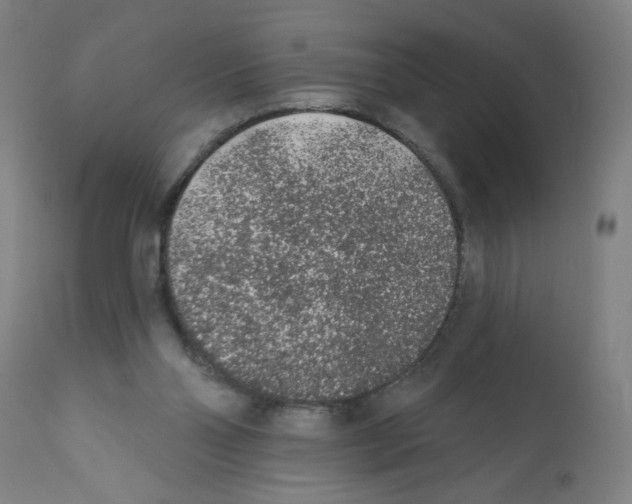 X0000112380110200909241224