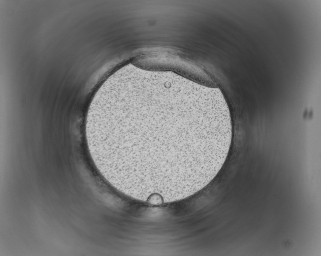 X0000112380111200909241224