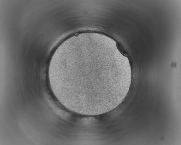 X0000112380112200909241224