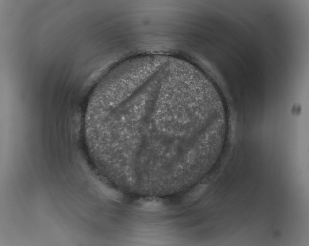 X0000112380113200909241224