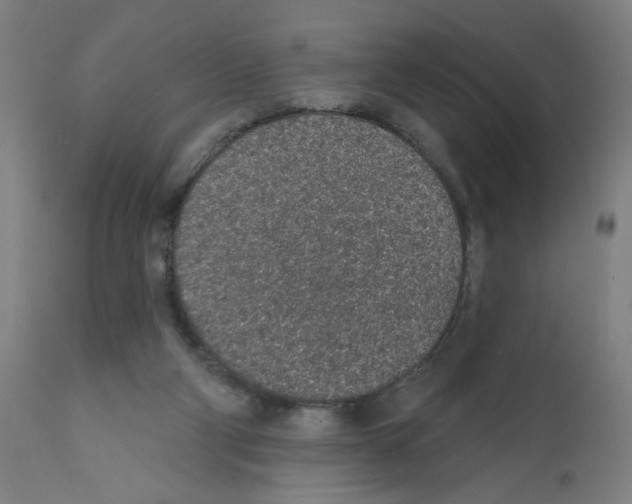 X0000112380114200909241224