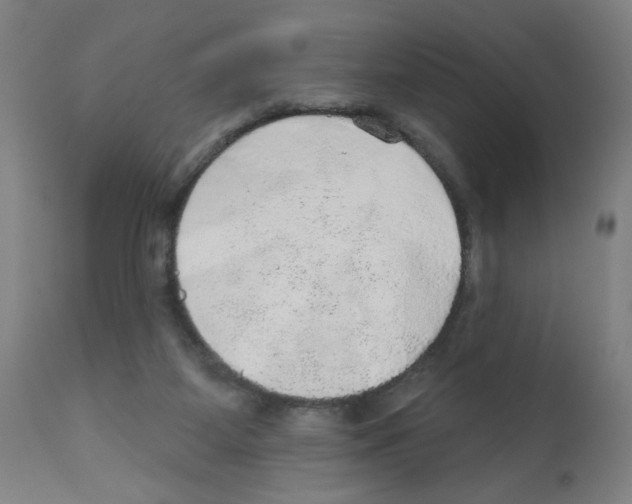 X0000112380115200909241224