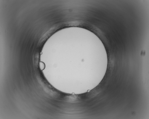 X0000112380118200909241224