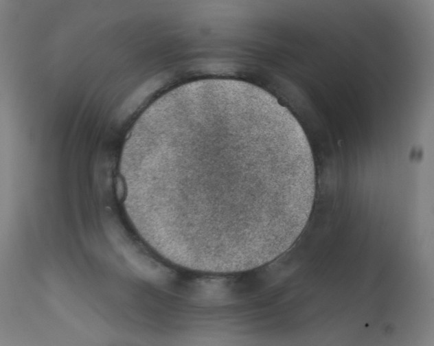 X0000112380120200909241224