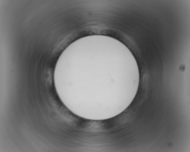 X0000112380121200909241224