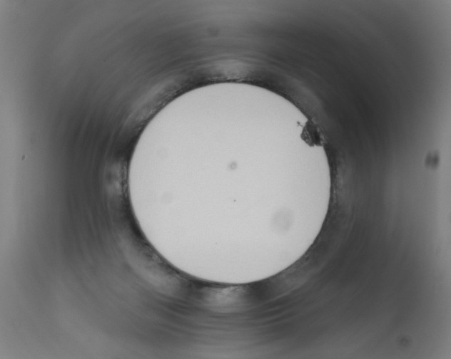 X0000112380122200909241224