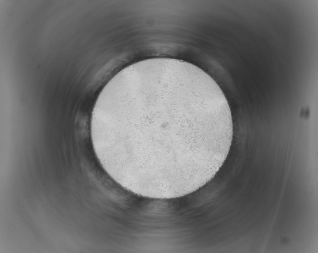 X0000112380123200909241224