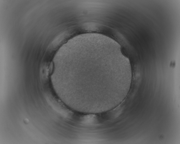 X0000112380124200909241224