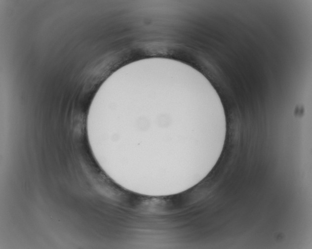 X0000112380125200909241224