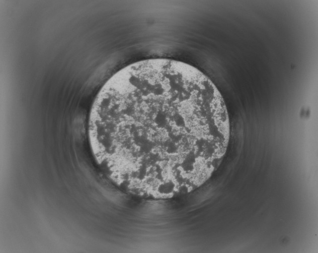 X0000112380127200909241224