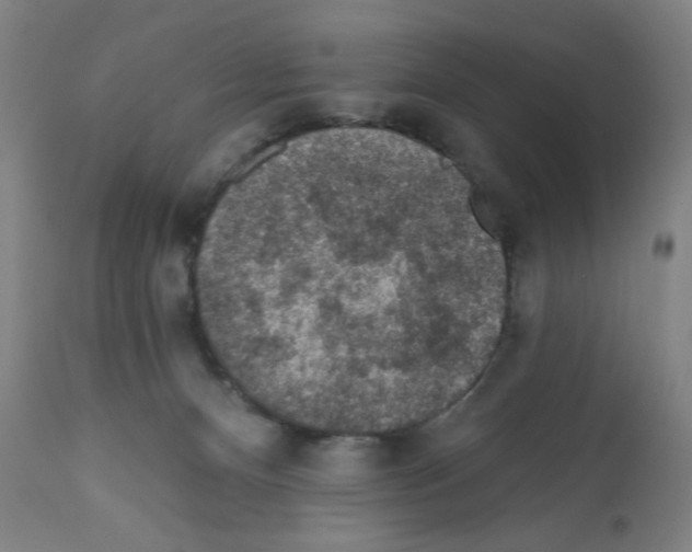 X0000112380128200909241224