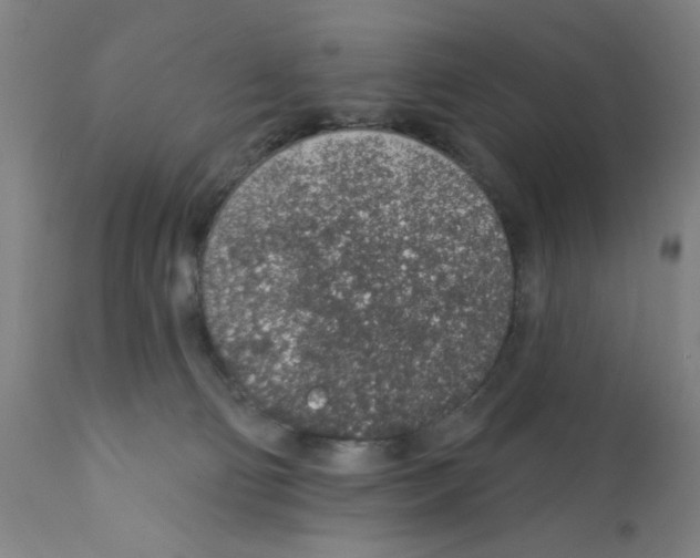 X0000112380130200909241224