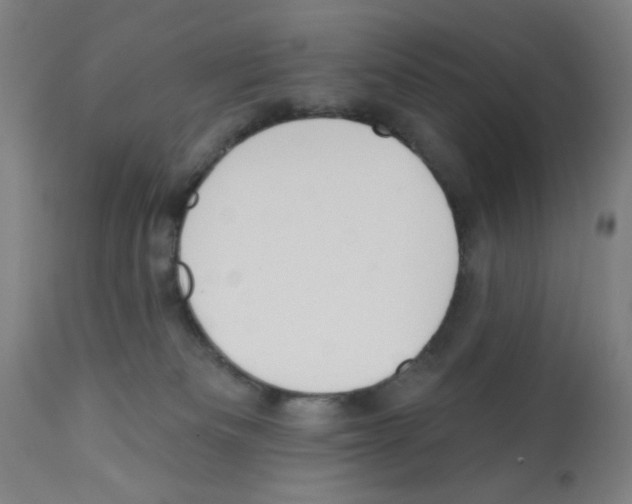 X0000112380133200909241224