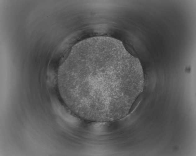 X0000112380136200909241224