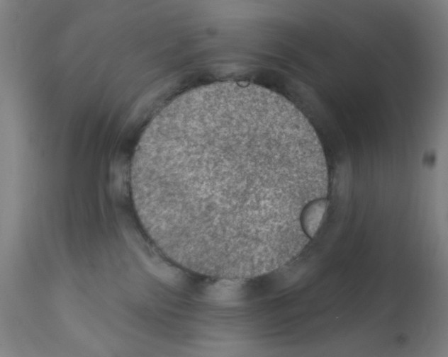 X0000112380138200909241224