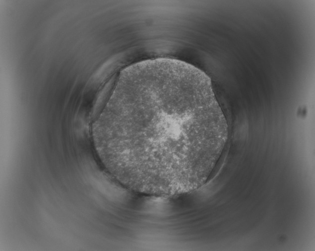 X0000112380140200909241224