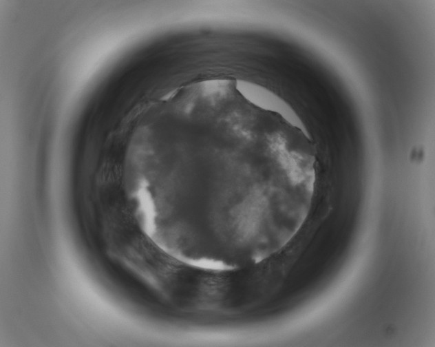 X0000112380143200909241224