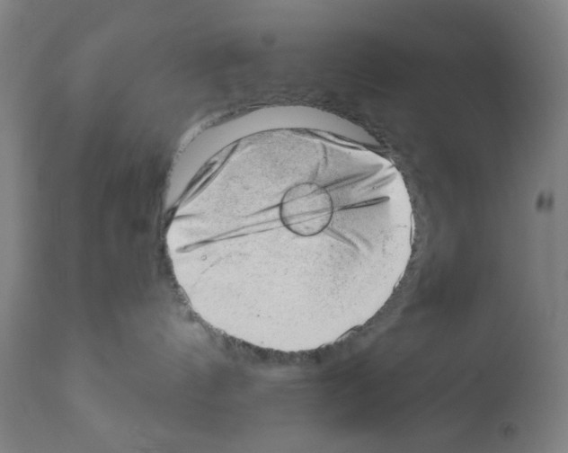 X0000112380144200909241224