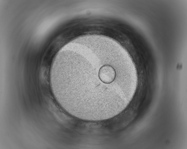 X0000112380146200909241223