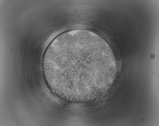 X0000112380147200909241223