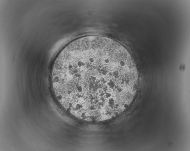 X0000112380149200909241223