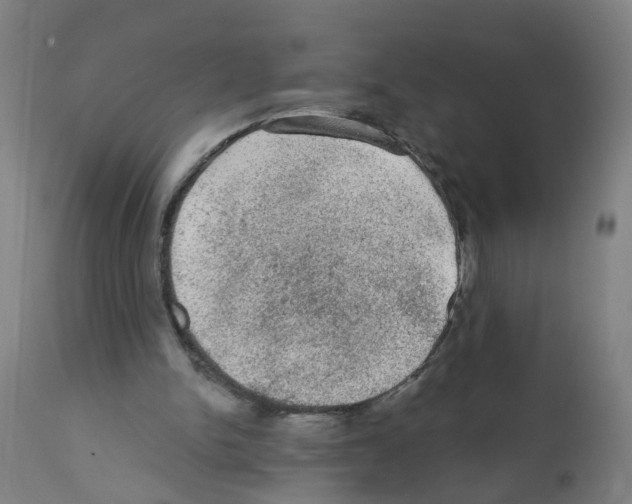 X0000112380150200909241223