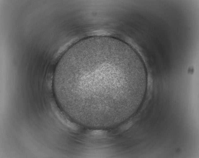 X0000112380153200909241223