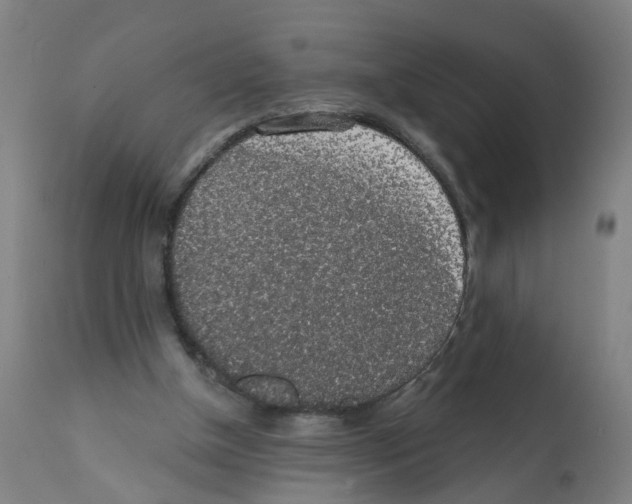 X0000112380154200909241223