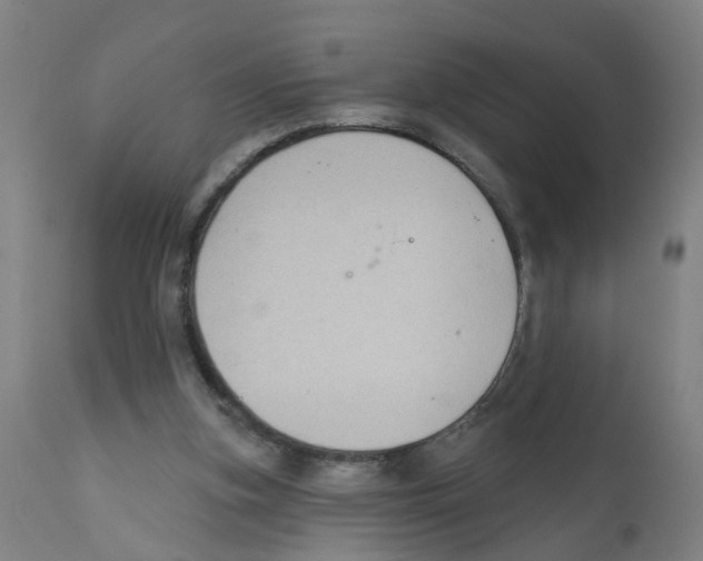 X0000112380155200909241223