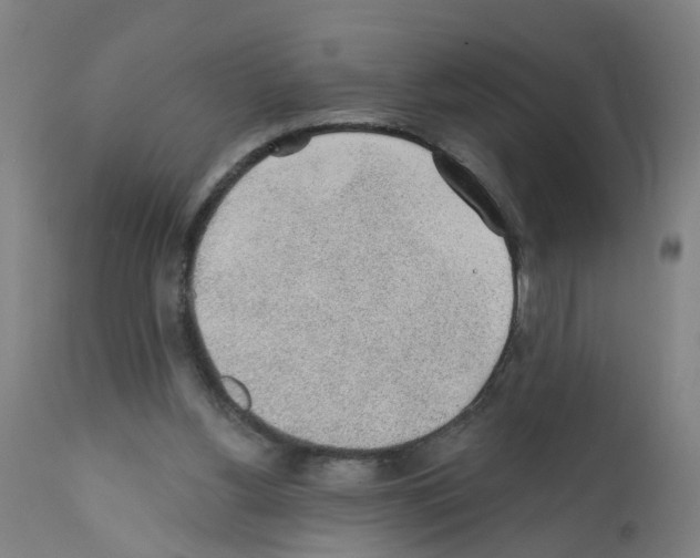 X0000112380156200909241223