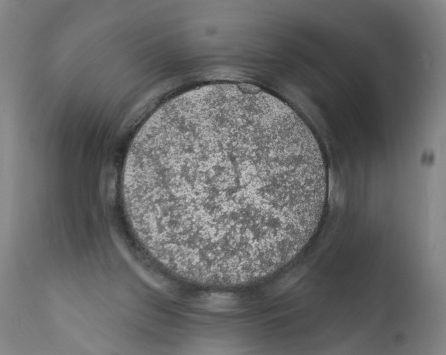 X0000112380157200909241223