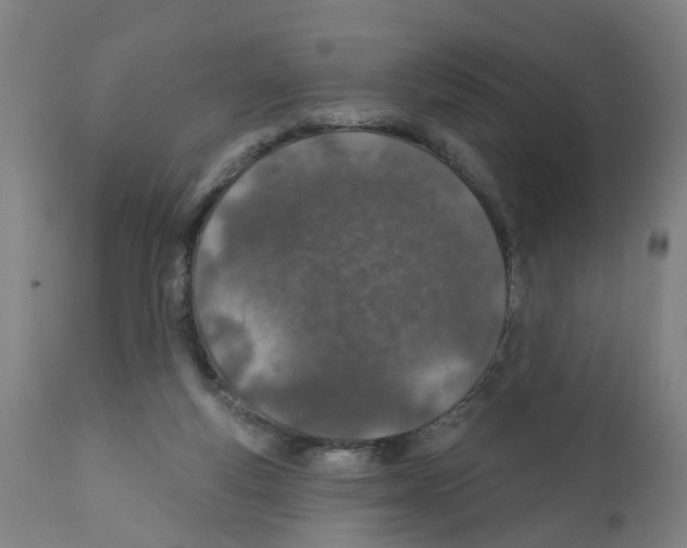 X0000112380163200909241223