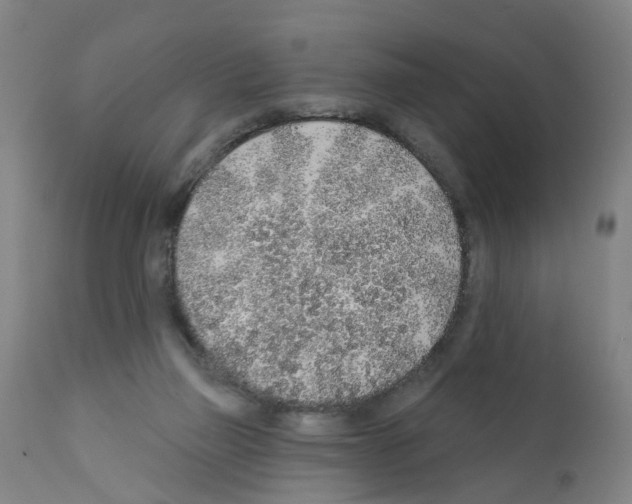 X0000112380165200909241223