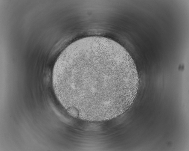 X0000112380166200909241223