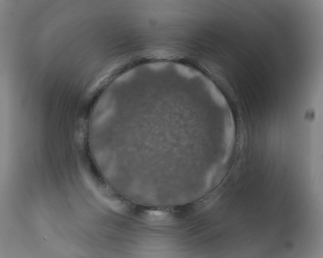 X0000112380167200909241223