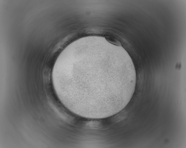 X0000112380168200909241223