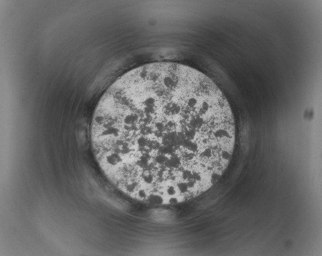 X0000112380169200909241223