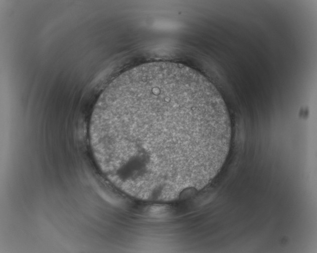 X0000112380173200909241223