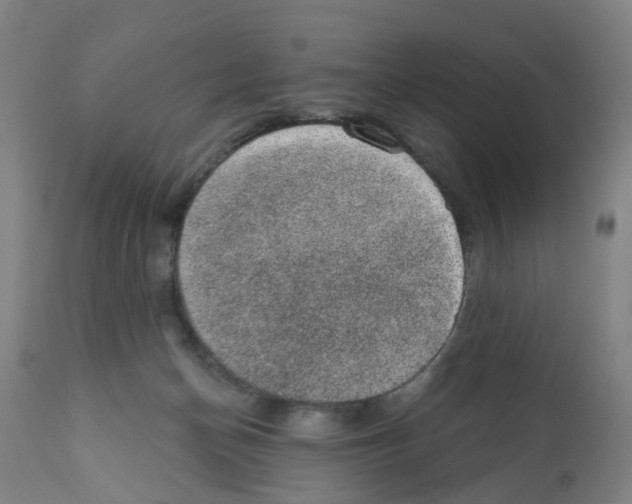 X0000112380174200909241223