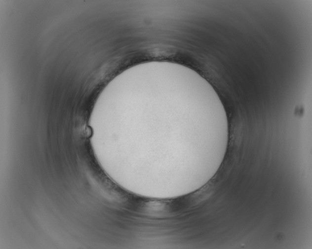 X0000112380176200909241223