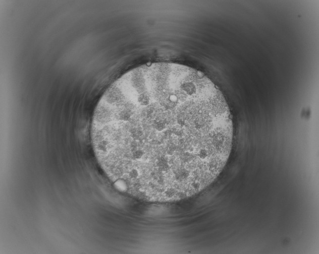 X0000112380177200909241223