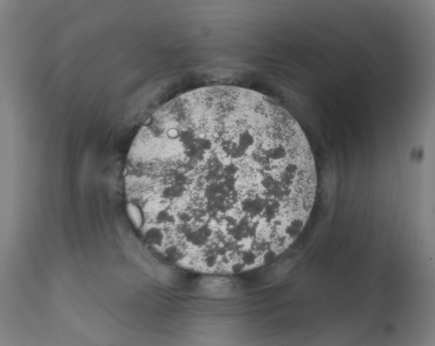 X0000112380181200909241223